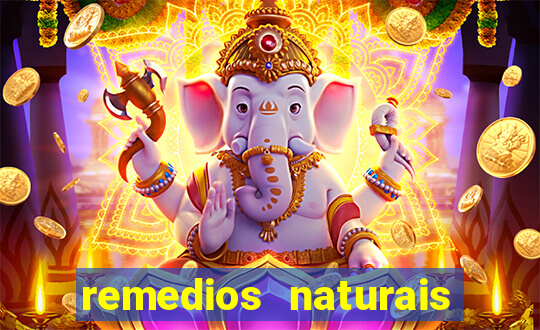 remedios naturais para diabetes
